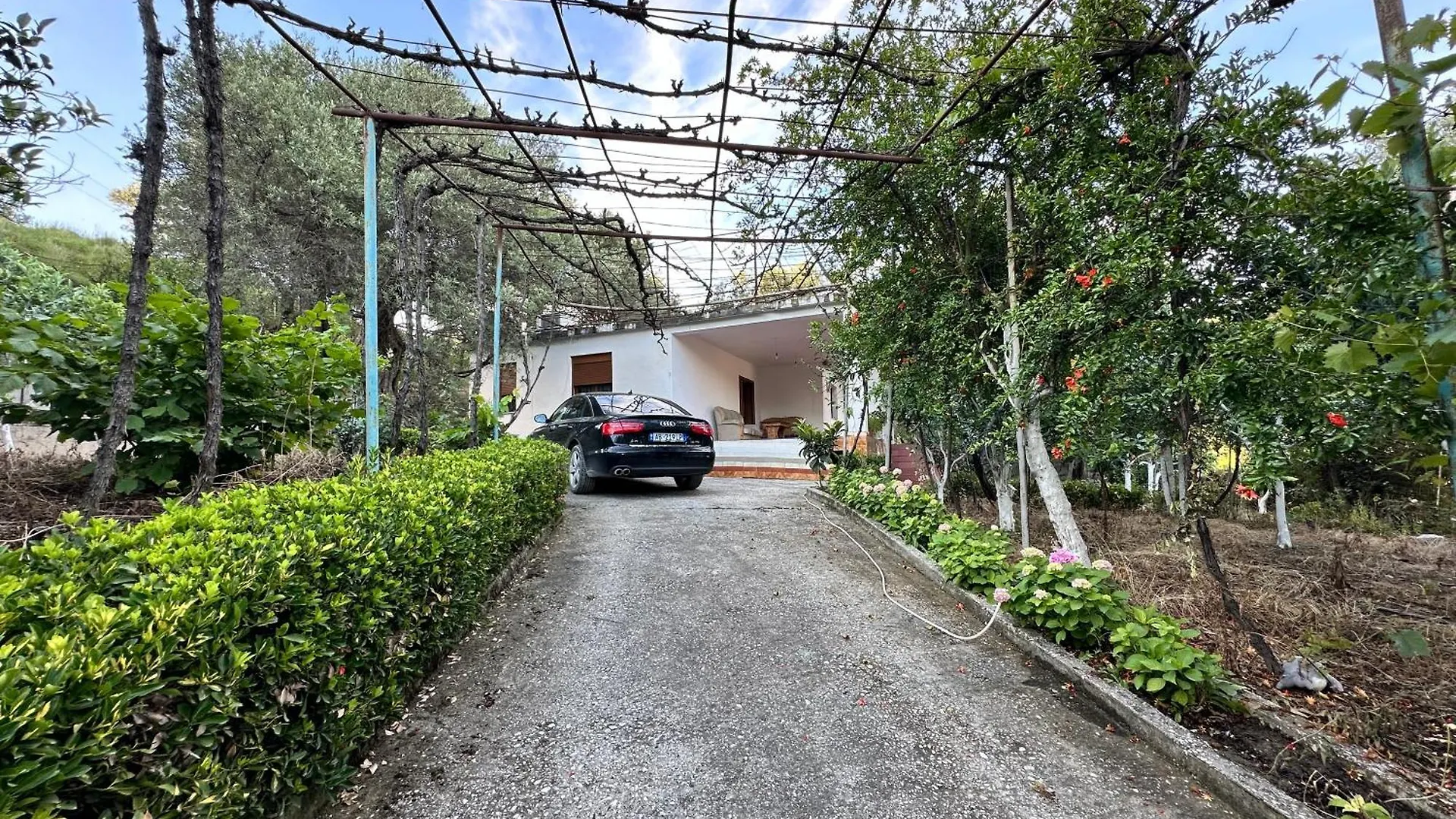 Home & Garden Vlore